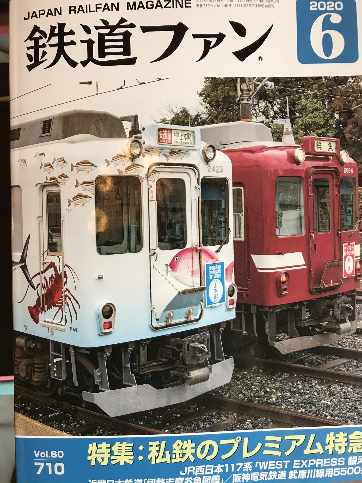 看板犬の柴犬?カンキチです。