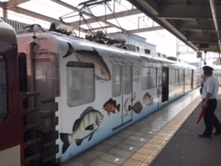 お魚図鑑列車?に乗って来ました。