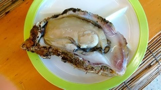 岩カキ、ウツボ仕入れました。【桜井市】【居酒屋】