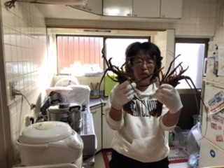 伊勢志摩産、伊勢エビ仕入れました。‼️【即完売しました。🙆‍♂️またの機会を‼️】