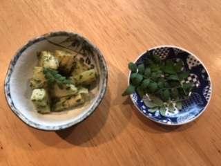 竹の子の山椒和えで一杯いかがですか‼️【桜井市】【居酒屋】